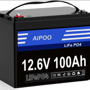 LiFePO4 12V 100Ah Lithium Iron Phosphate Battery - Copy - Copy